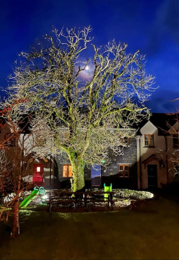 Burren Court Lodge Балливон Экстерьер фото