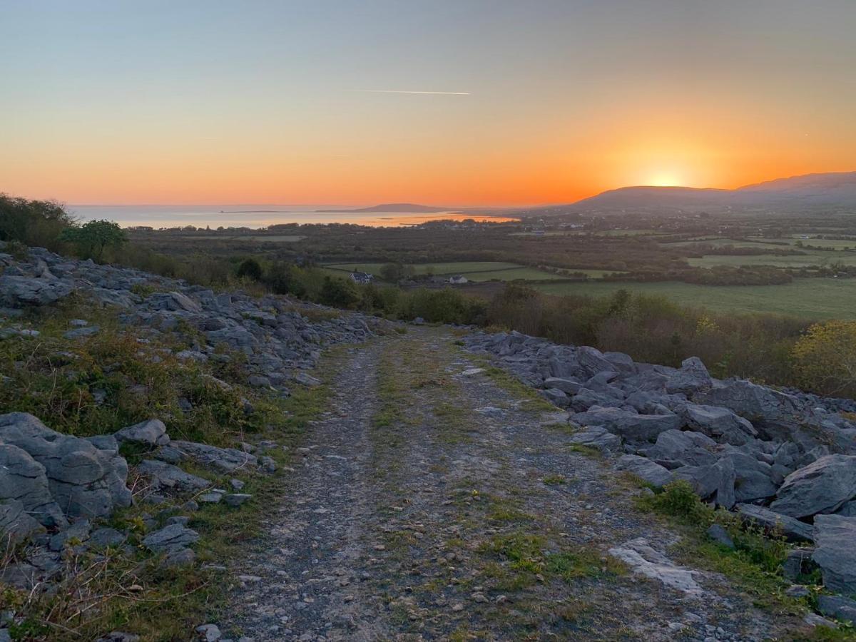 Burren Court Lodge Балливон Экстерьер фото