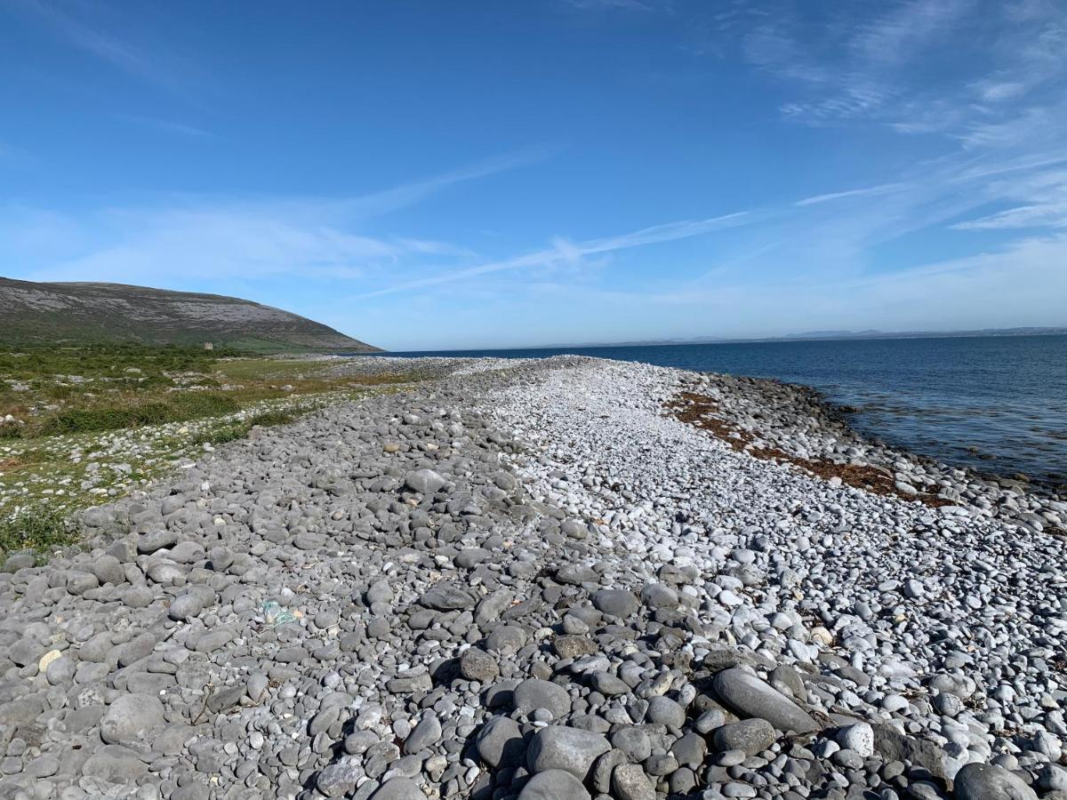 Burren Court Lodge Балливон Экстерьер фото