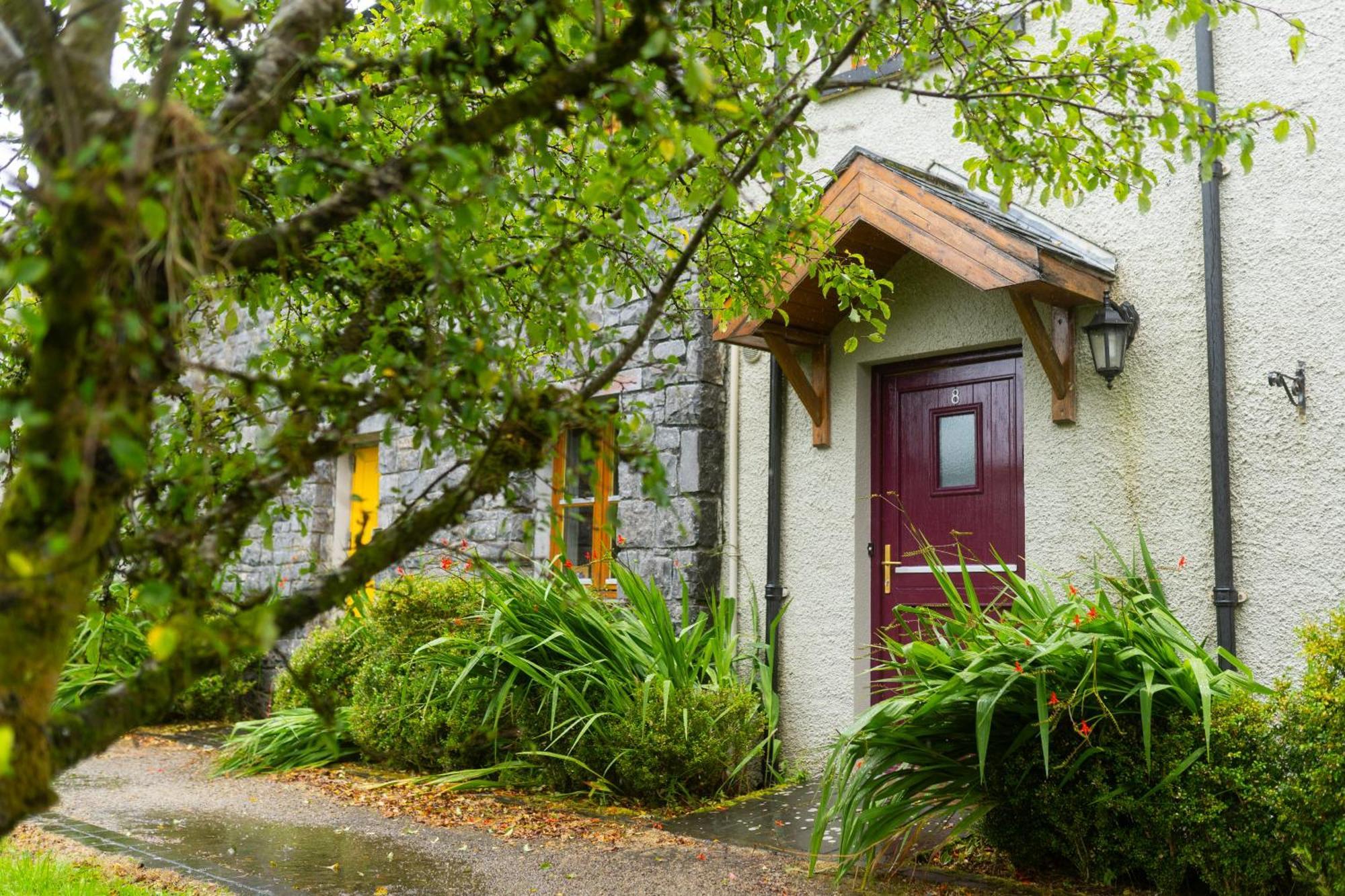 Burren Court Lodge Балливон Экстерьер фото