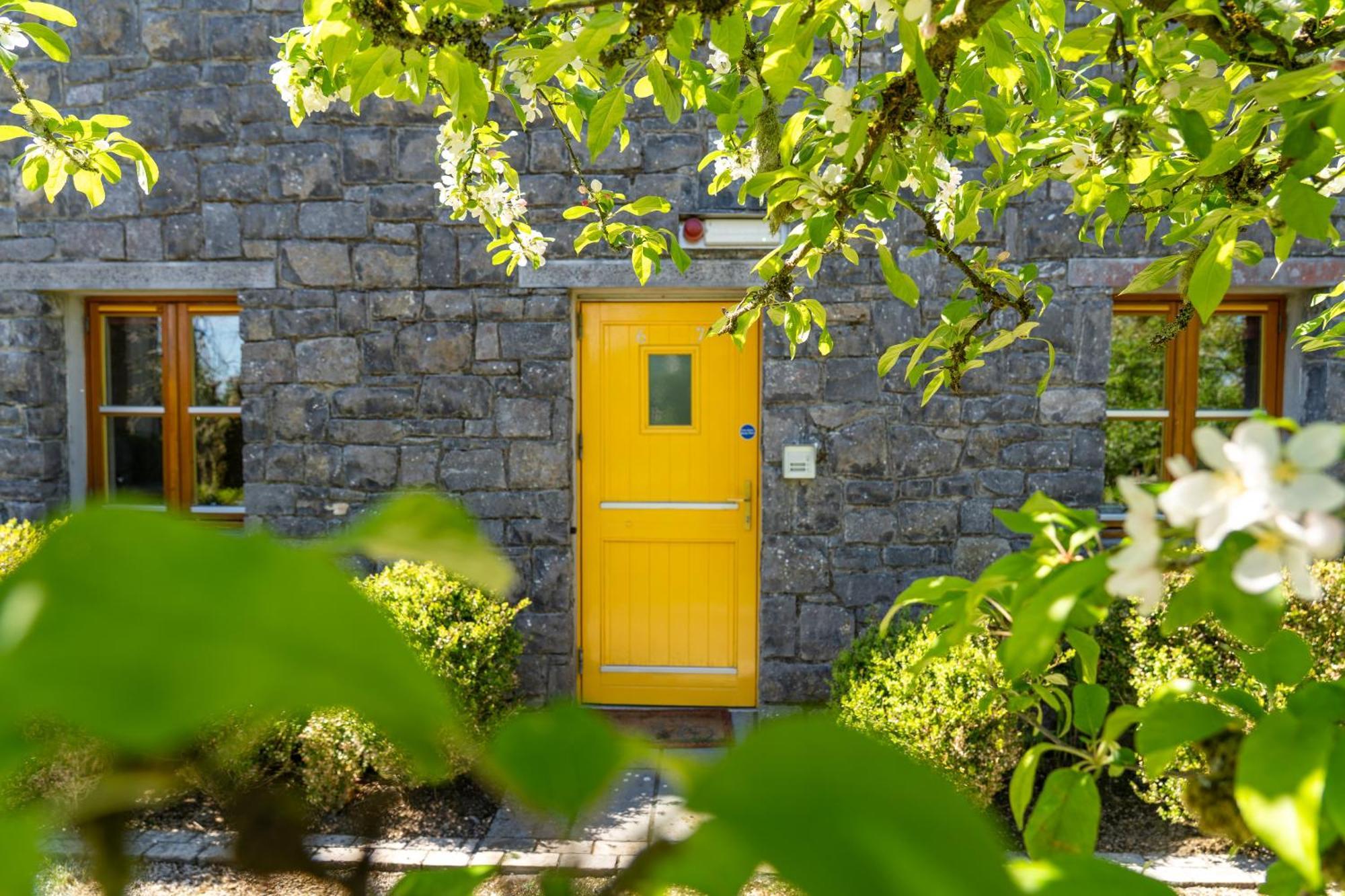 Burren Court Lodge Балливон Экстерьер фото