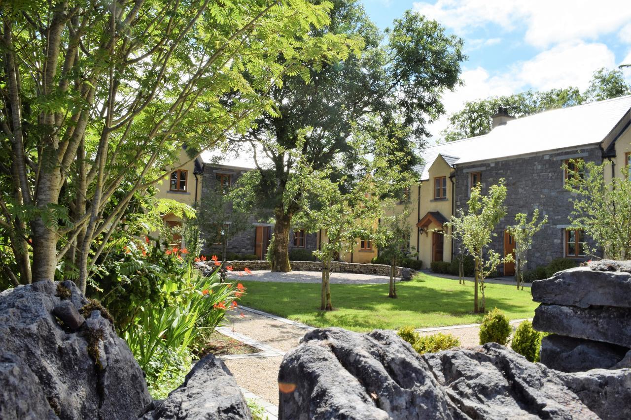 Burren Court Lodge Балливон Экстерьер фото