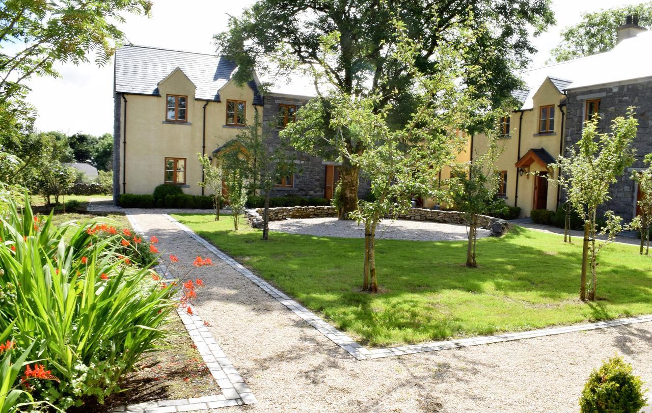 Burren Court Lodge Балливон Экстерьер фото